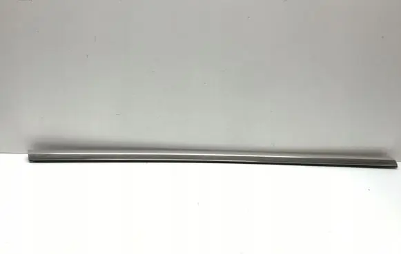 Tesla Model 3 Trim molding 
