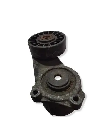 Mercedes-Benz 190 W201 Timing belt tensioner 1022022440