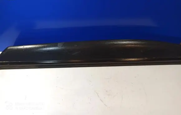 Land Rover Range Rover Sport L320 Front door trim (molding) DGP000201
