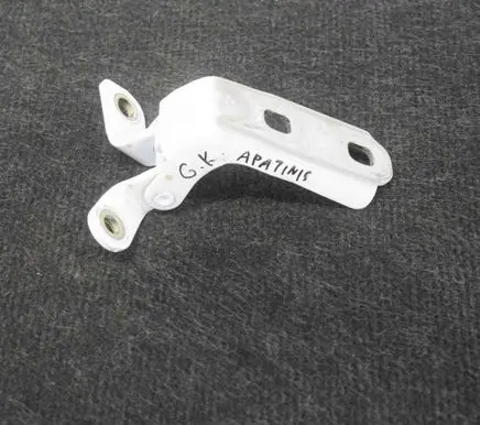 Opel Mokka Rear door lower hinge P16257