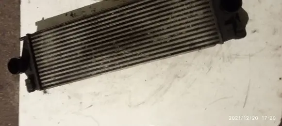 Mercedes-Benz Sprinter W906 Intercooler radiator A9065010101