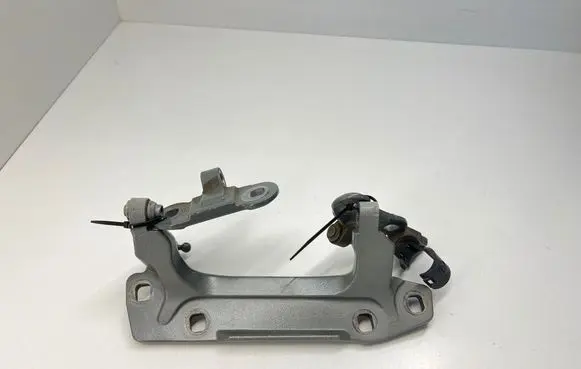 Tailgate/trunk/boot hinge