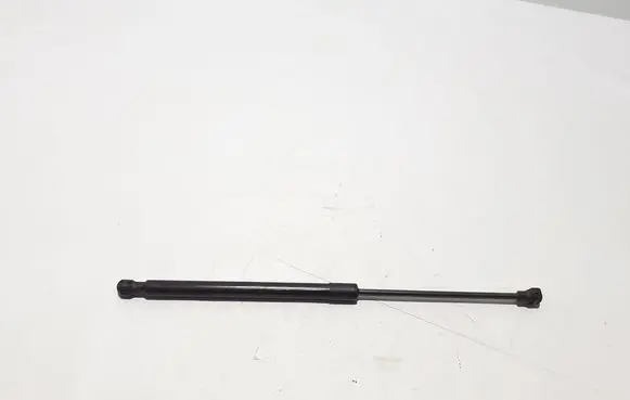 Renault Kangoo III Front bonnet/hood damper/strut 654719908R