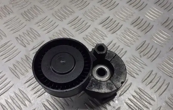 Renault Twingo II Alternator belt tensioner pulley 8200460446