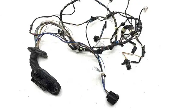 BMW X3 F25 Front door wiring loom 916924103 9169241