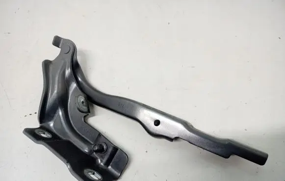 Renault Arkana Engine bonnet/hood hinges 16942228470