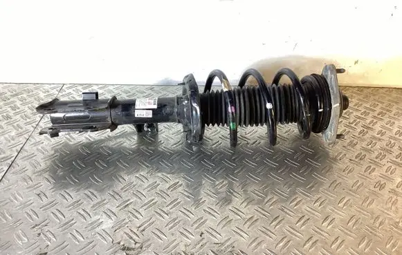 Front shock absorber with coil spring