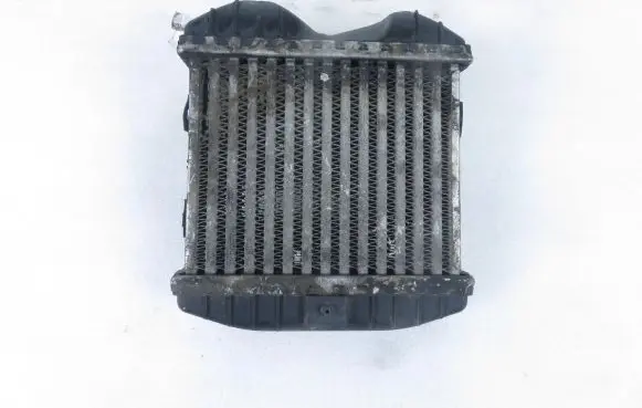 Smart ForTwo I Intercooler radiator 0003007V002 16491