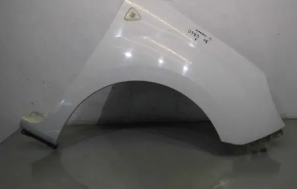 Renault Kangoo II Fender