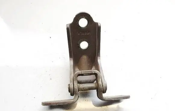 Rear door lower hinge