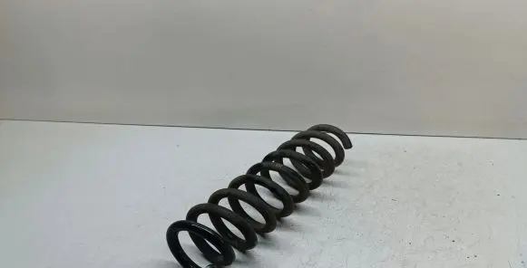 BMW X1 E84 Rear coil spring