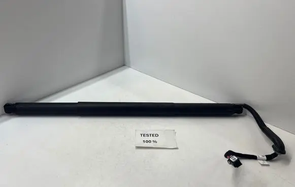 Tailgate strut