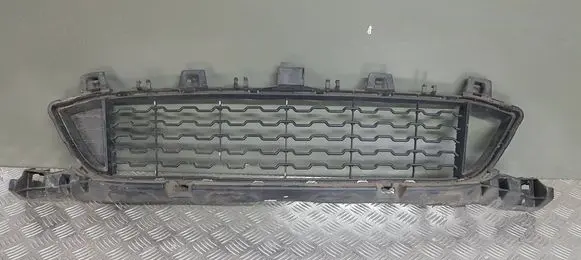 BMW X1 F48 F49 Front grill 8059888