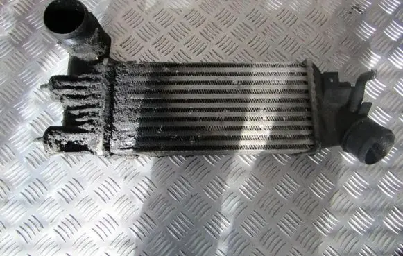 Peugeot 406 Intercooler radiator