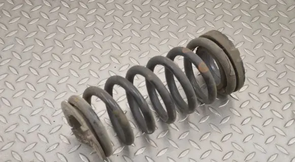 Rear coil spring