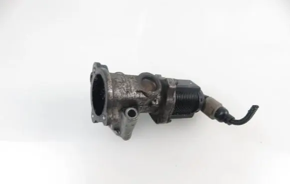 Fiat Punto (188) EGR valve 50024007