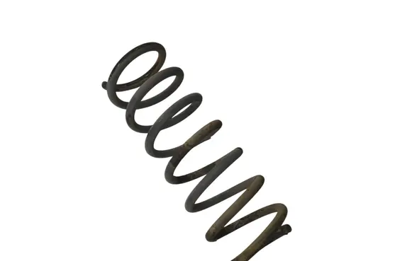 Rear coil spring