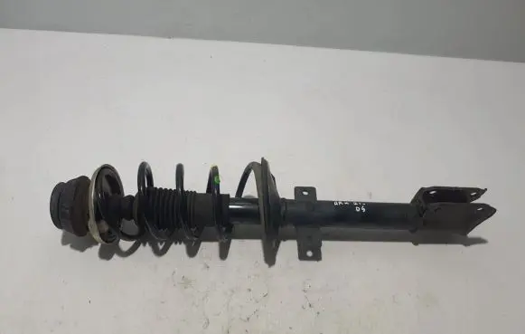 Renault Arkana Rear shock absorber/damper 562107325R