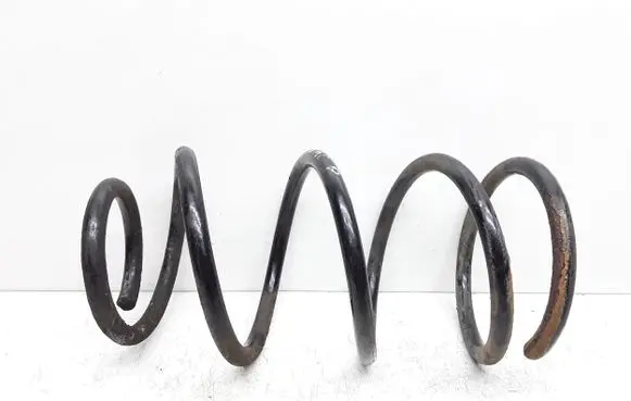 Front coil spring