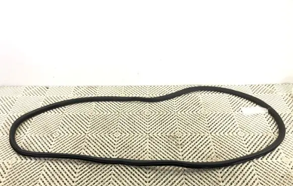 Audi A8 S8 D5 Rubber seal front door (on door) 4N4833721