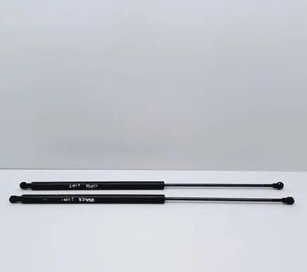 Tailgate/trunk strut/damper