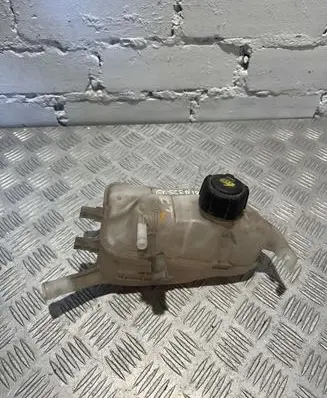 Renault Scenic III - Grand scenic III Coolant expansion tank/reservoir 217100005R
