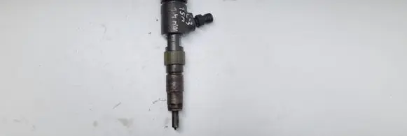 Citroen C3 Fuel injector 0445110339
