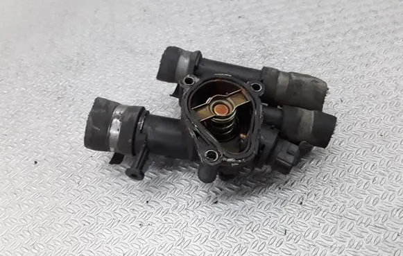 Thermostat/thermostat housing
