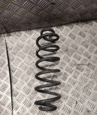 Rear coil spring