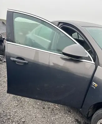 Opel Insignia A Front door