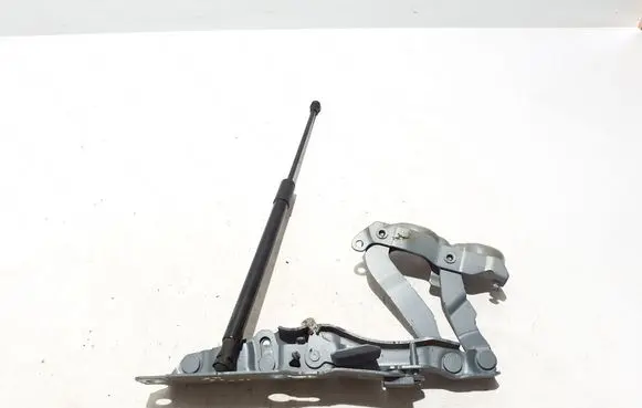 Engine bonnet/hood hinges