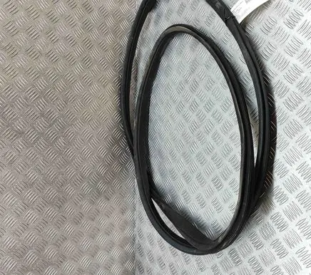 Tesla Model X Rubber seal front coupe door 145923500F