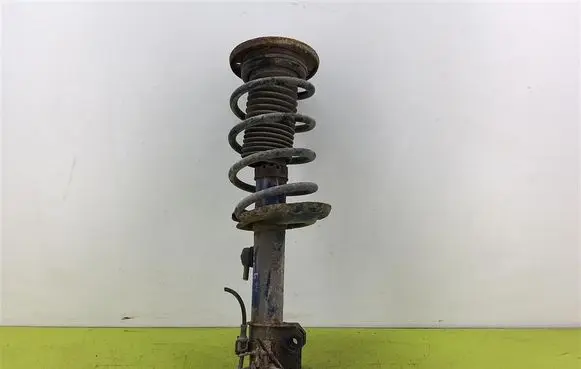 Opel Vectra C Front shock absorber with coil spring 6266230006
