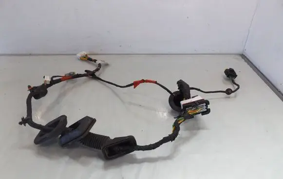 Hyundai i30 Front door wiring loom/harness boot 916002R150