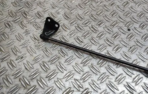 Nissan Juke I F15 Tailgate/trunk strut/damper 