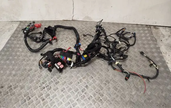 Renault Master III Engine installation wiring loom V210222185000 243100001R CD118466R