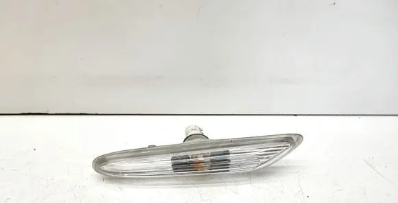 Front fender indicator light