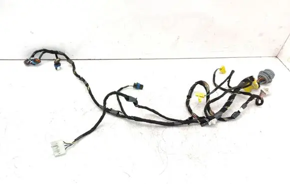 Front door wiring loom