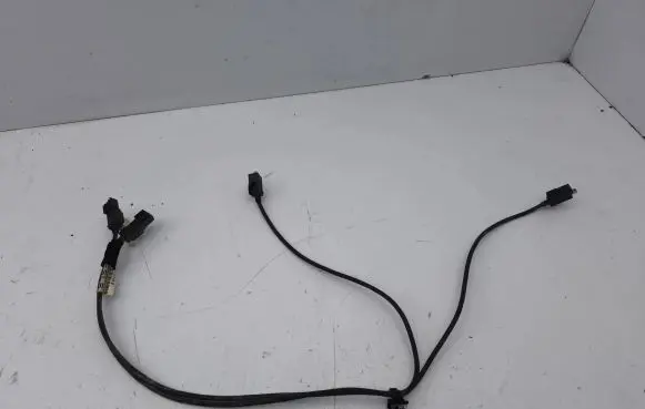 Tesla Model S Other wiring loom 100481508B