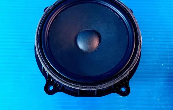Tesla Model 3 Front door speaker 107974400C 430407772453