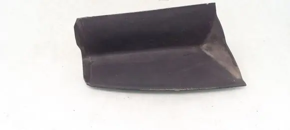 Rear/tail light trim molding