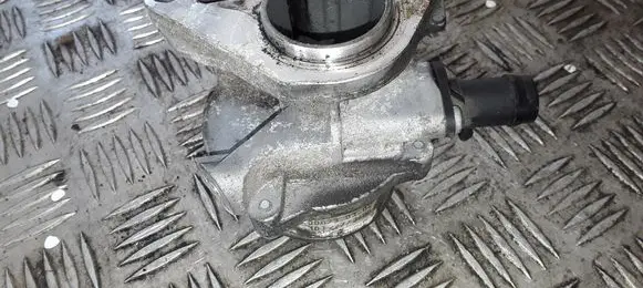 Renault Megane III Vacuum pump 006730302