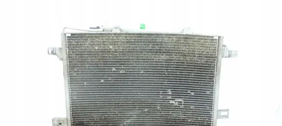 Mercedes-Benz A W169 A/C cooling radiator (condenser) A1695000754