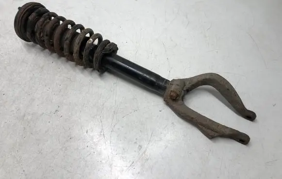 Honda Accord Front shock absorber with coil spring 20341358