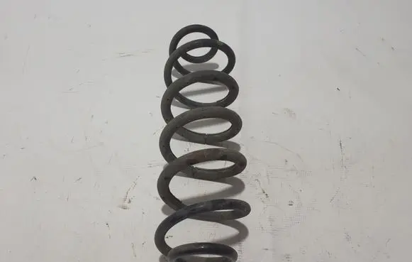 Toyota C-HR I Rear coil spring 48231F4070