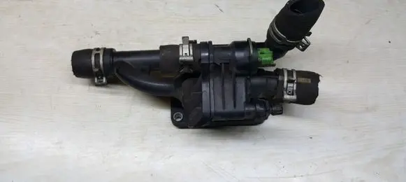 Thermostat/thermostat housing