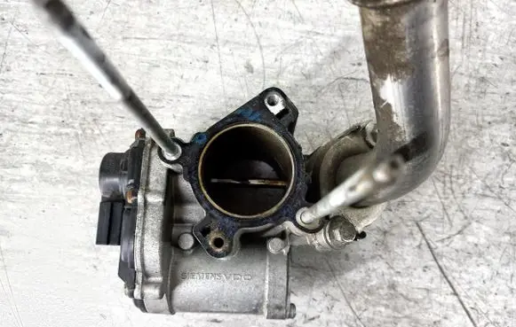 EGR valve