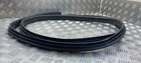 Ford Grand C-MAX Front door rubber seal