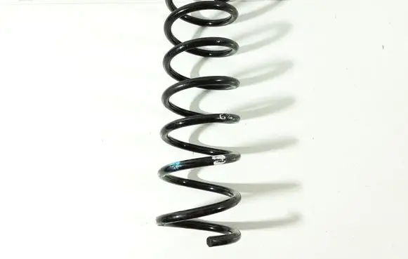 Rear coil spring