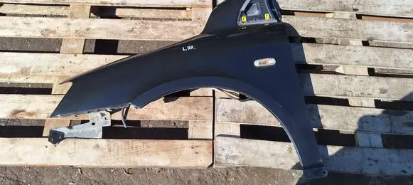 Fiat Multipla Fender